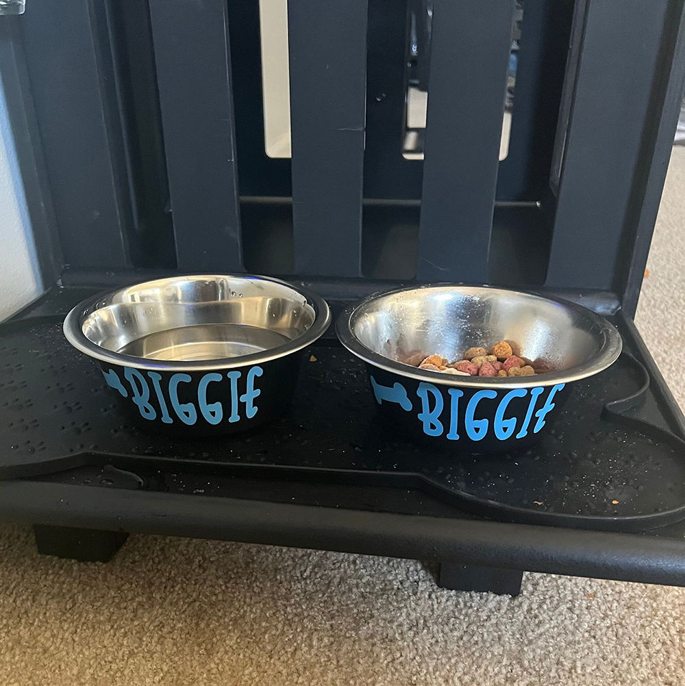 Personalized Pet Stainless Steel Anti-slip Food Bowl | BKPet36801