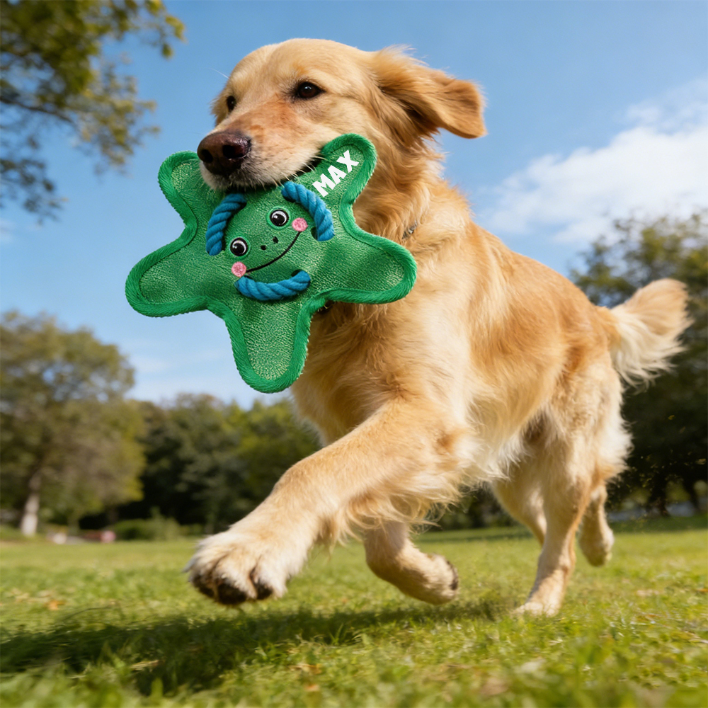 Personalized Star Flying Disc Squeaky Dog Toy | BKPet386