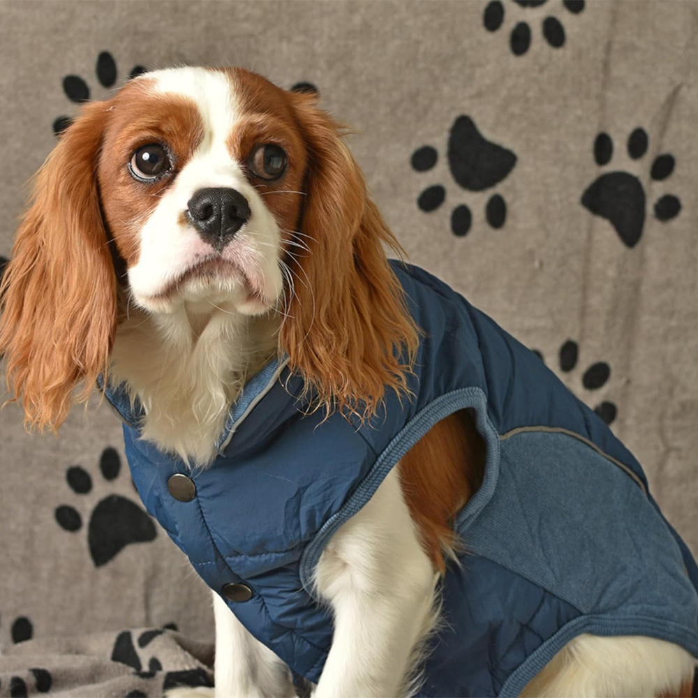 Personalized Pet Large Size Winter Warm Puffer Vest | BKPet404