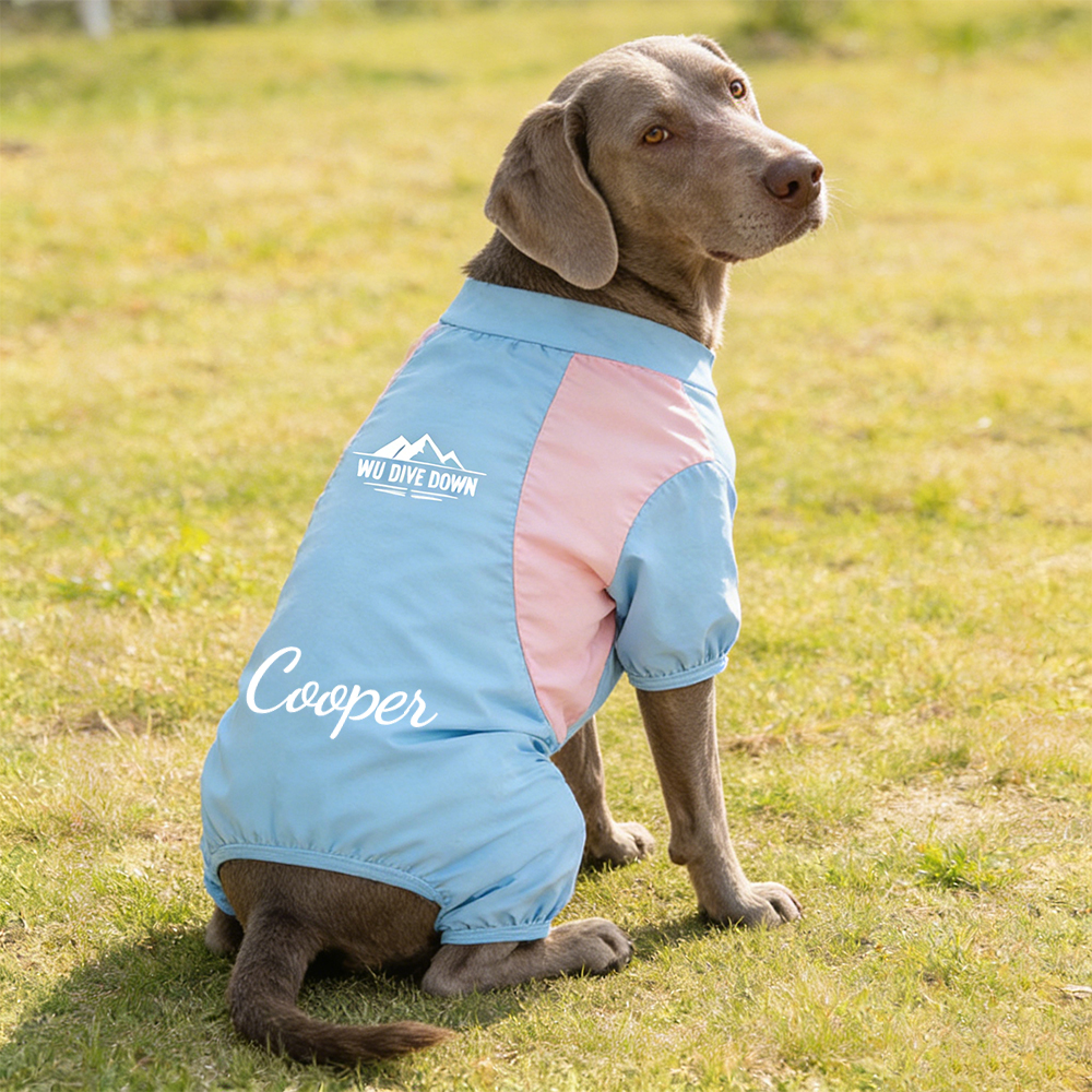 Personalized All-season Large Size  Puppy Shirt | BKPet413
