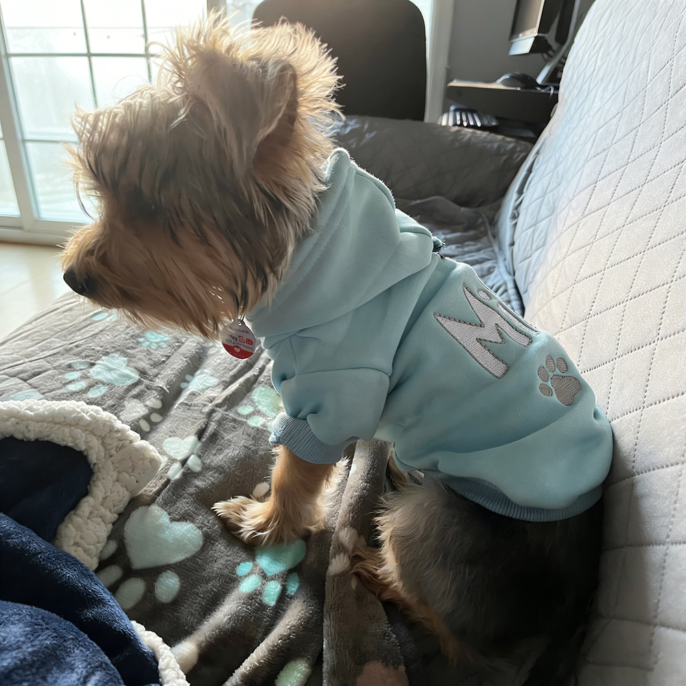 Personalized Embroidered Pet Comfortable Soft Hoodie | BKPet419