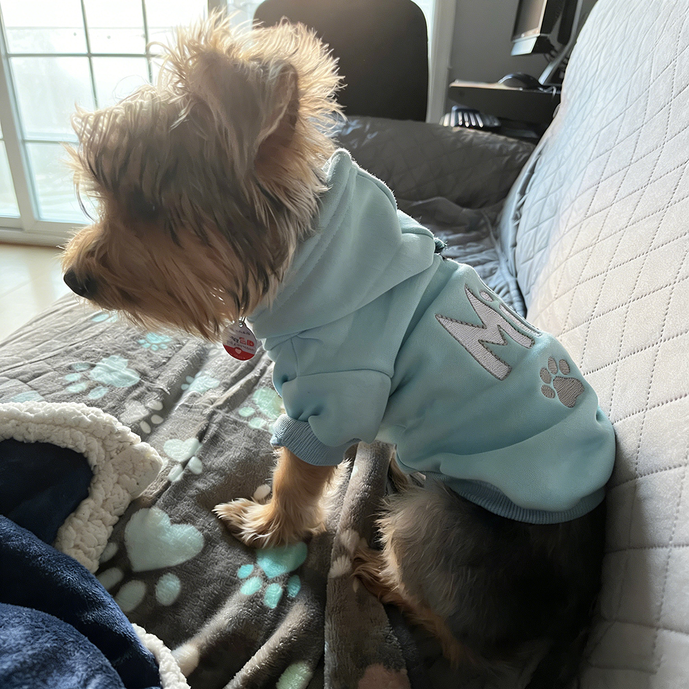 Personalized Embroidered Pet Comfortable Soft Hoodie | BKPet419