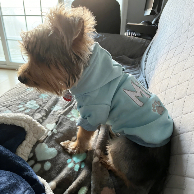 Personalized Embroidered Pet Comfortable Soft Hoodie | BKPet419
