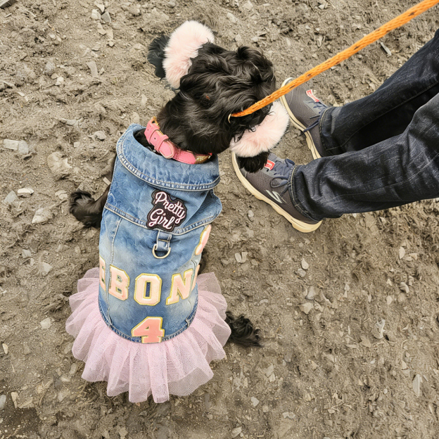 Personalized Hand Patch Pets Denim Jacket with TUTU Skirt | BKPet424