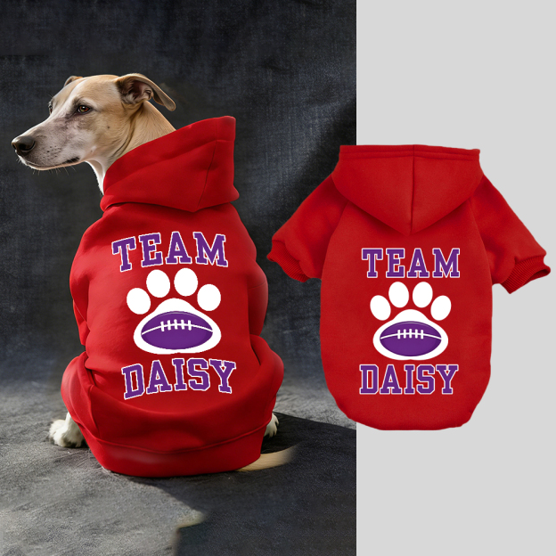 Personalized Football Team Pet Paw Soft Hoodie | BKPet427
