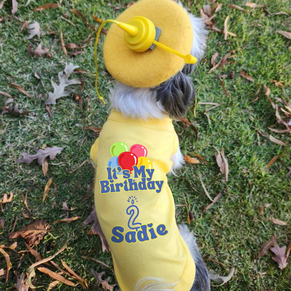 Personalized It’s My Birthday Pet Shirt | BKPet449