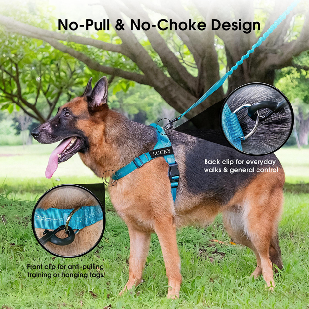 Personalized Embroidered Dog Harness & Leash Set | BKPet462
