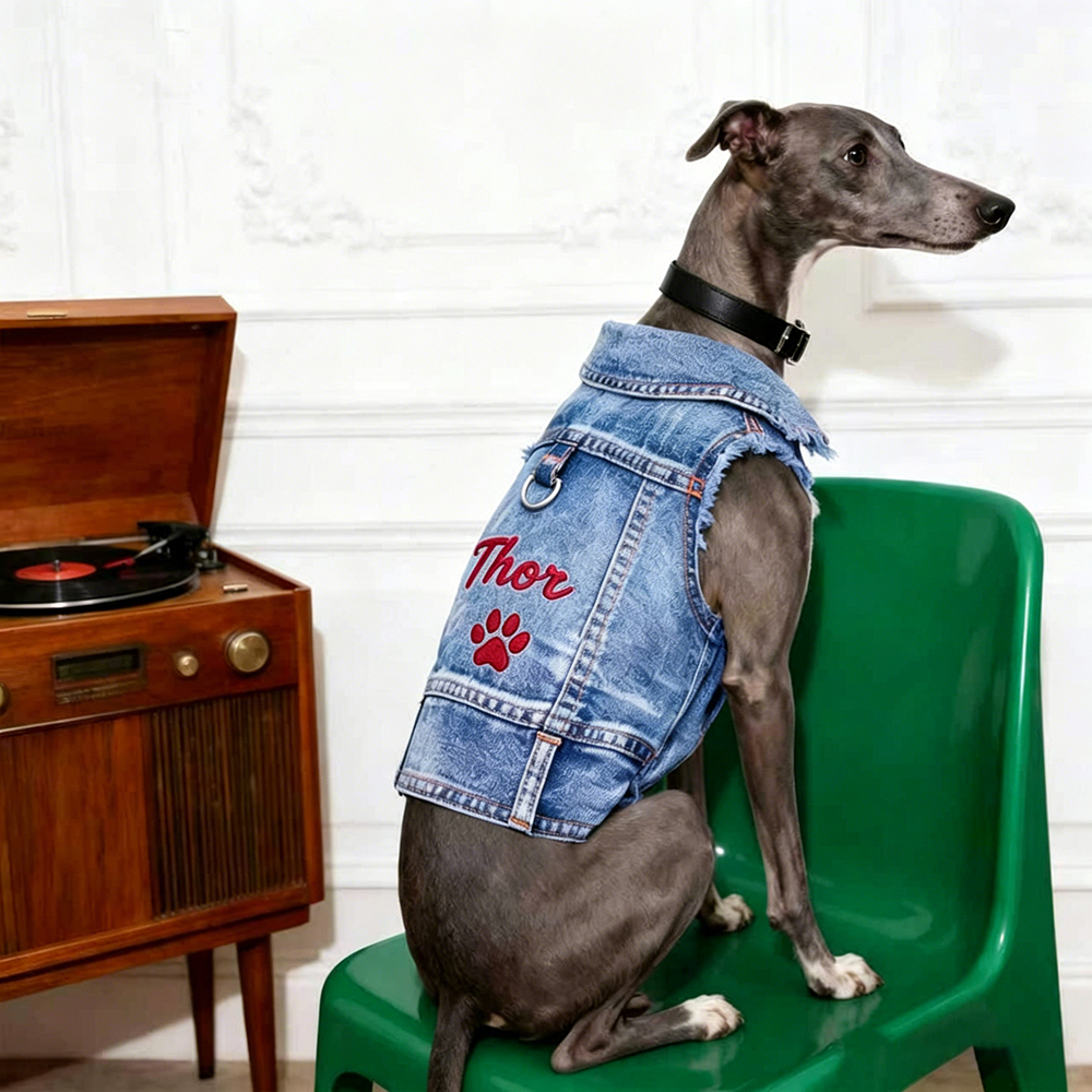 Personalized Embroidered Pet Denim Jacket | BKPet464