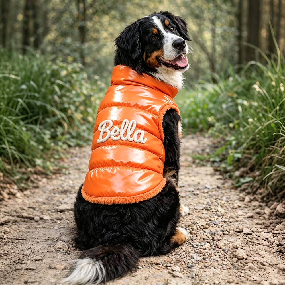Personalized Pets Winter Warm Windproof Jacket | BKPet572