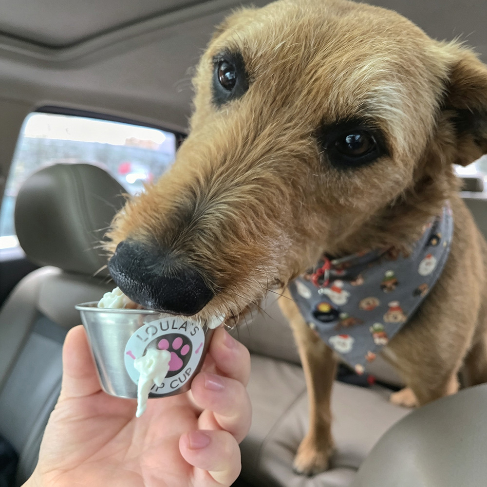 Personalized Pet Stainless Steel Reusable Mini Pup Cup Mug | BKPet273