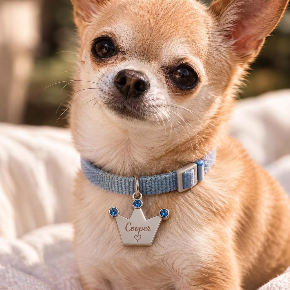 Personalized Rhinestone Crown Pet Collar ID Tag | BKPet585