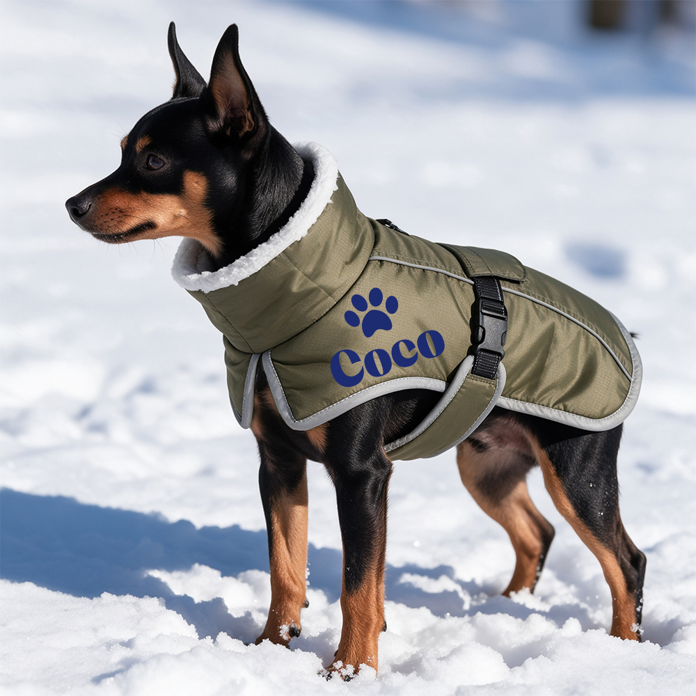 Personalized Winter Warm & Waterproof Cotton Coat For Pets | BKPet595