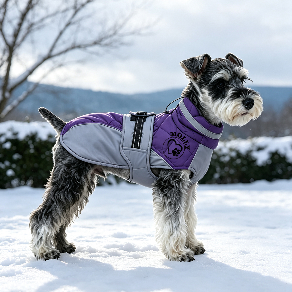 Personalized Pet Winter Warm Thickened Quilted Vest | BKPet600