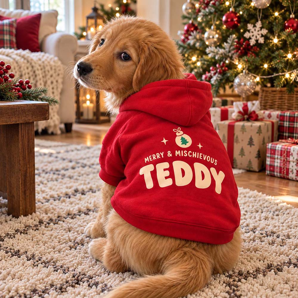 Personalized Christmas Pets Merry & Mischievous Hoodie | MCGift435