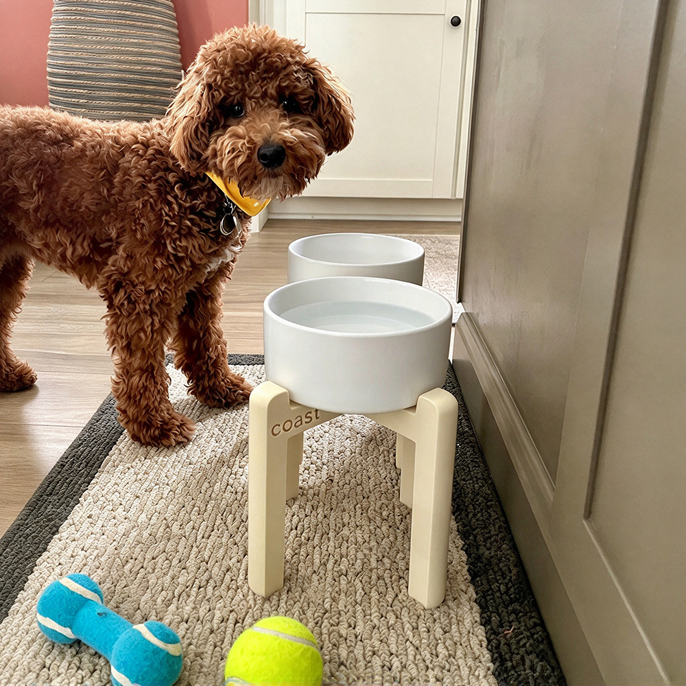 Personalized 3D Printed Pet Elevated Bowl Stand | BKPet653