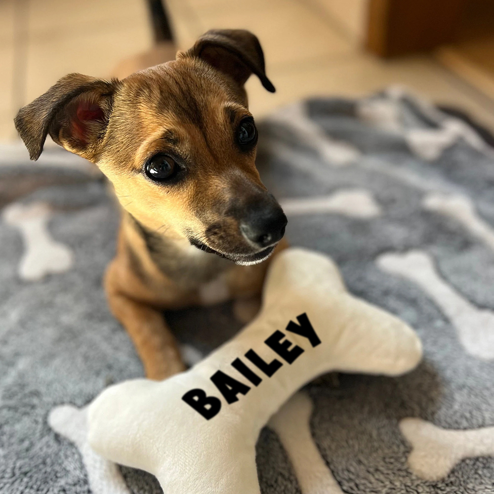 Personalized Puppy Gift Soft Bone Pillow Toy | BKPet129
