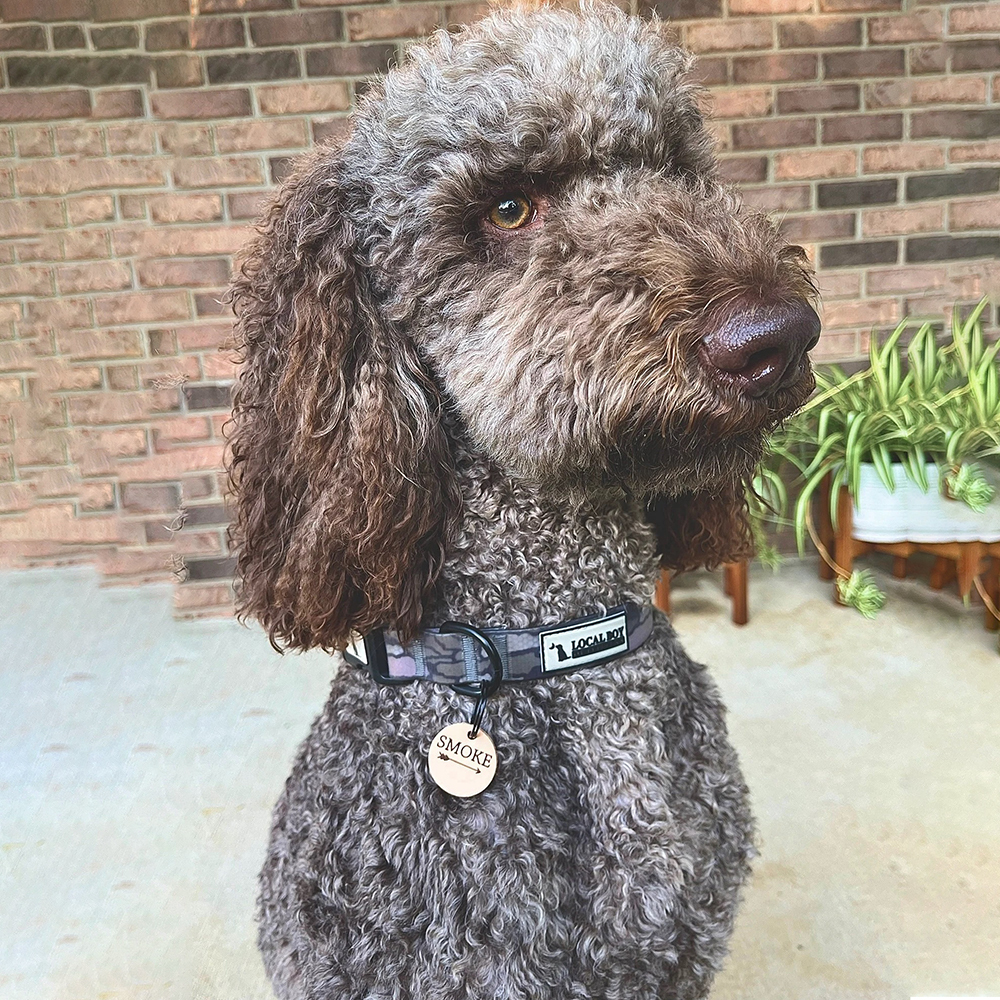 Personalized Handmade Silent Leather Pet ID Tag | BKPet145