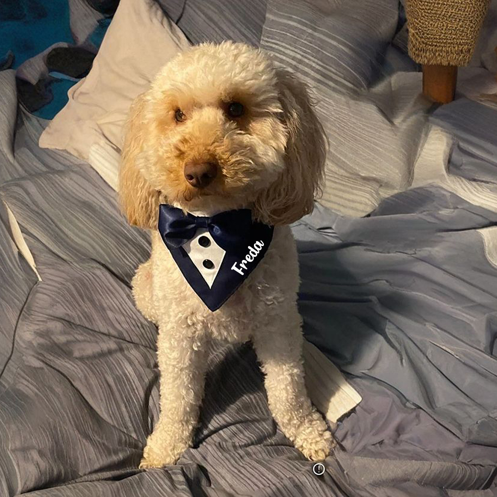 Personalized Wedding Pet Bow Tuxedo Suit | BKPet157