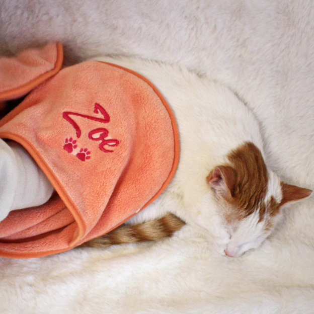 Personalized Embroidered Pet Drying Towel | BKPet167