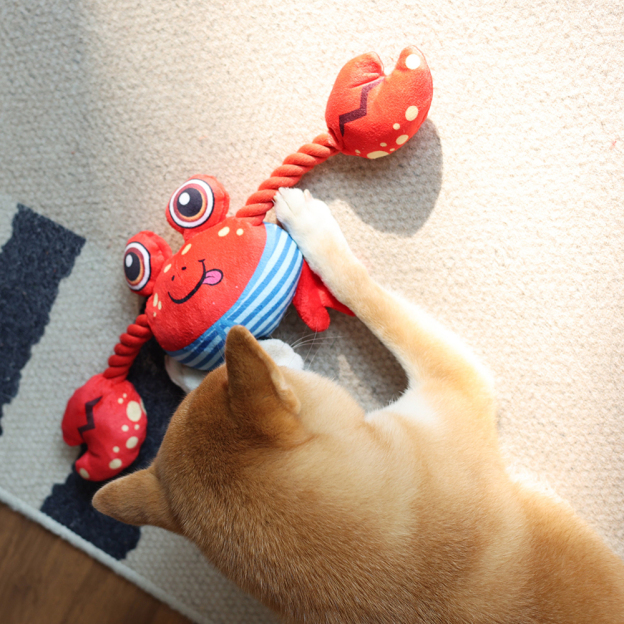 Personalized Handmade Pet Squeaky Interactive Chew Toy | BKPet172