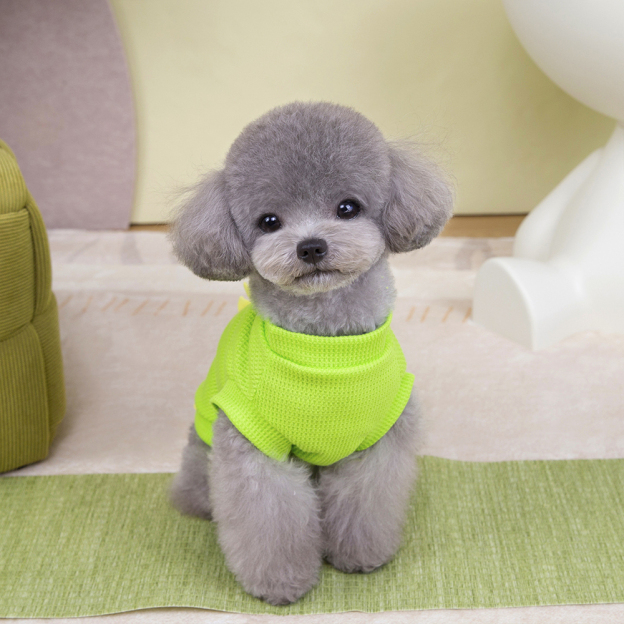 Personalized Pet Summer Lovely Dinosaur Shirt | BKPet179