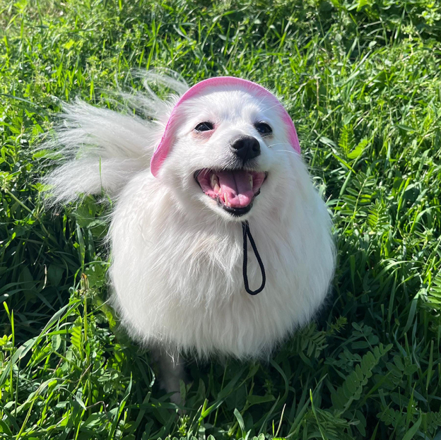 Personalized Embroidery Adjustable Pet Sun Bucket Hat | BKPet183