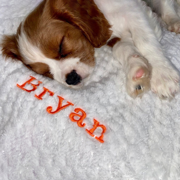 Personalized Embroidered Pet Soft Waffle Blanket | BKPet197