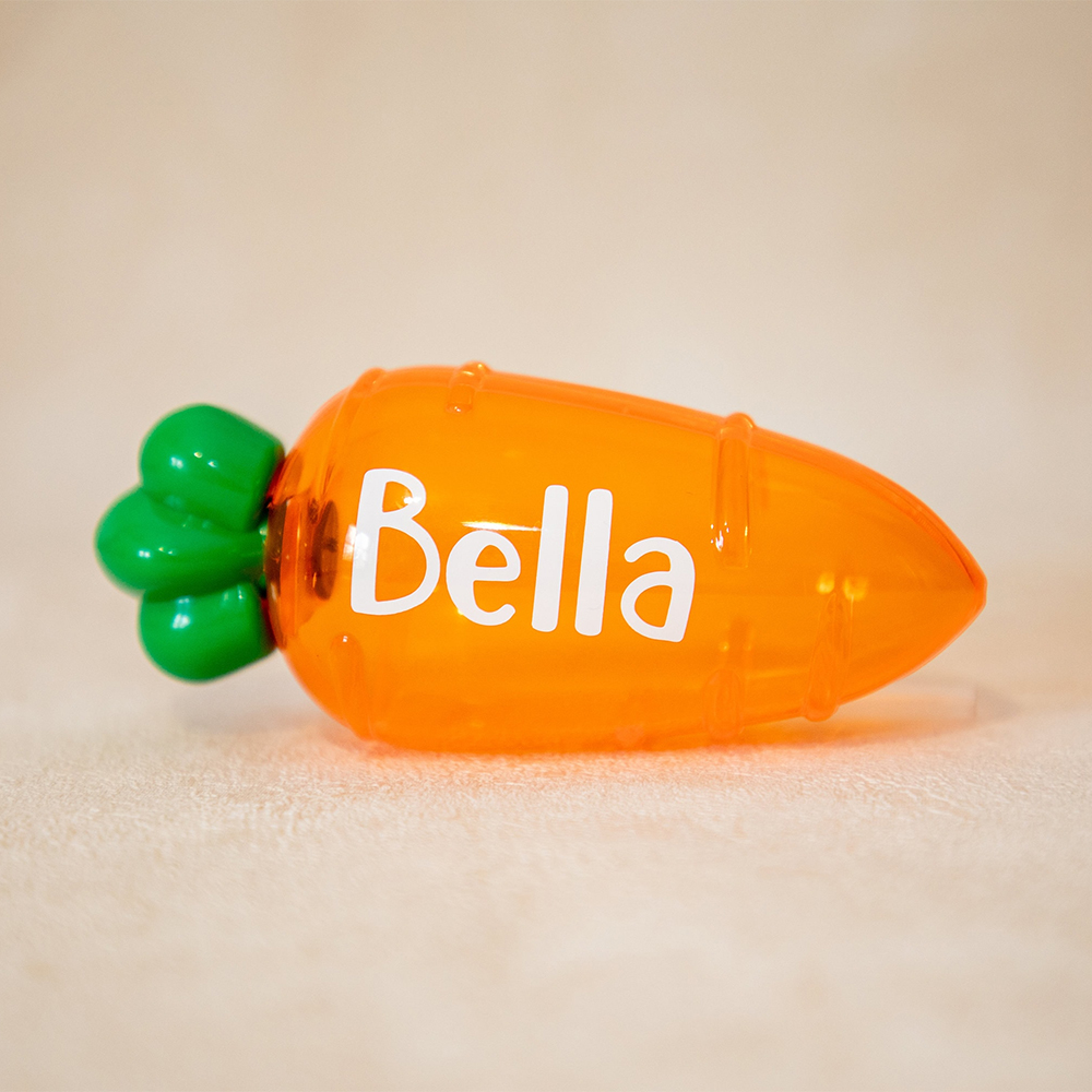 Personalised Plastic Stuffable Easter Carrots | CWEaster37