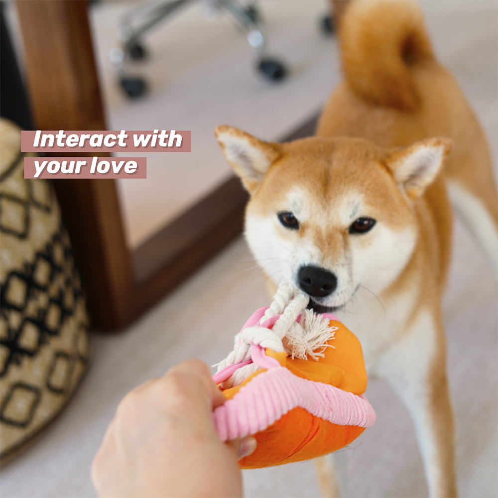 Personalized Puppy Soft Cotton Shoes Chew Toy | BKPet155