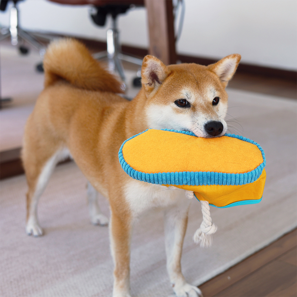 Personalized Puppy Soft Cotton Shoes Chew Toy | BKPet155