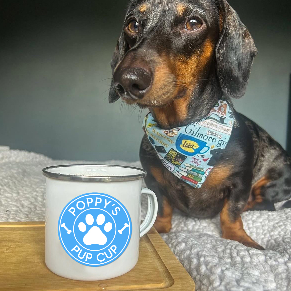 Personalised 12oz Pet Enamel Reusable Pup Cup Mug | BKPet280