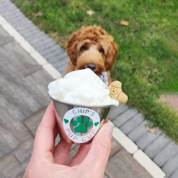 Personalized Valentine’s Day Pet Gift Pup Cup Mug | BKPet285