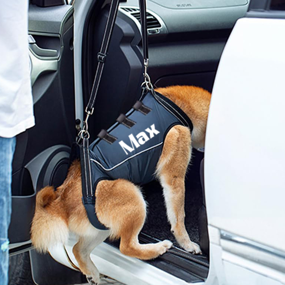 Personalized Adjustable Pet Lifting Harness Breathable Full Body Support | BKPet309