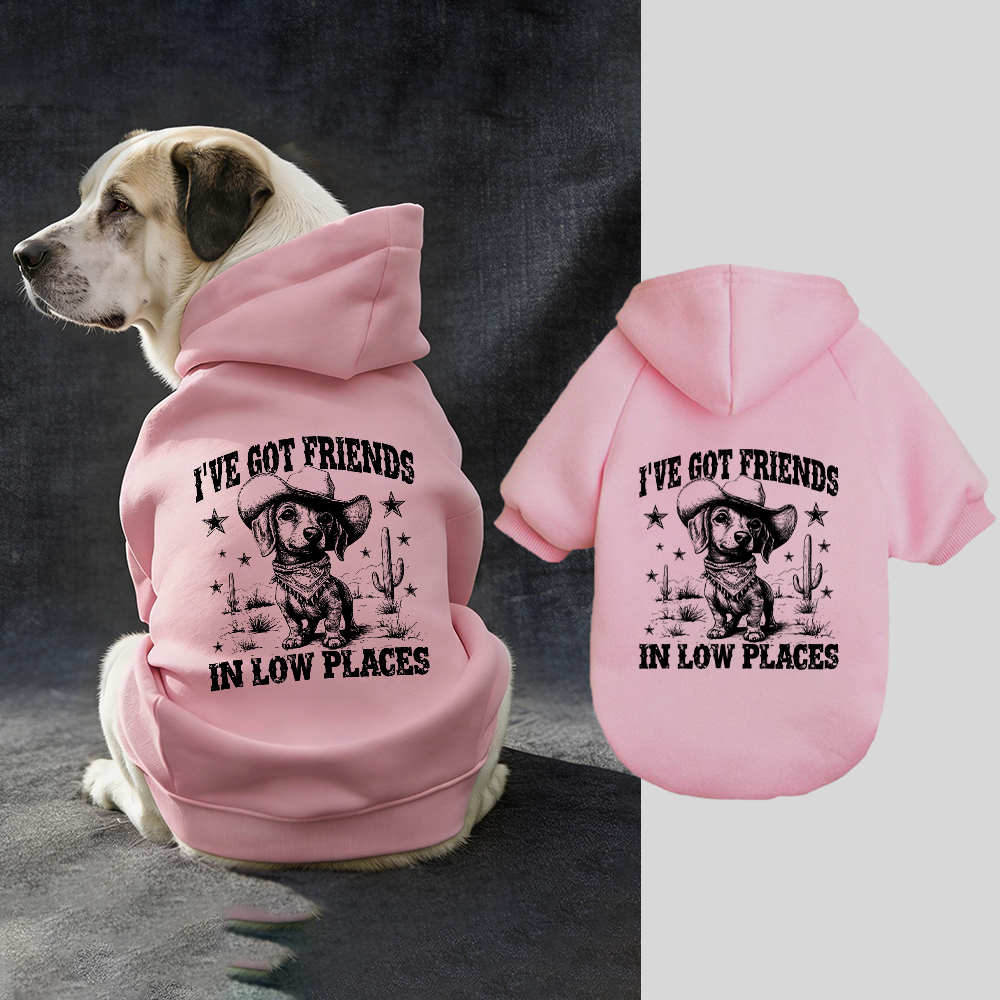 I'VE GOT FRIENDS Puppy Hoodie | BKPet340