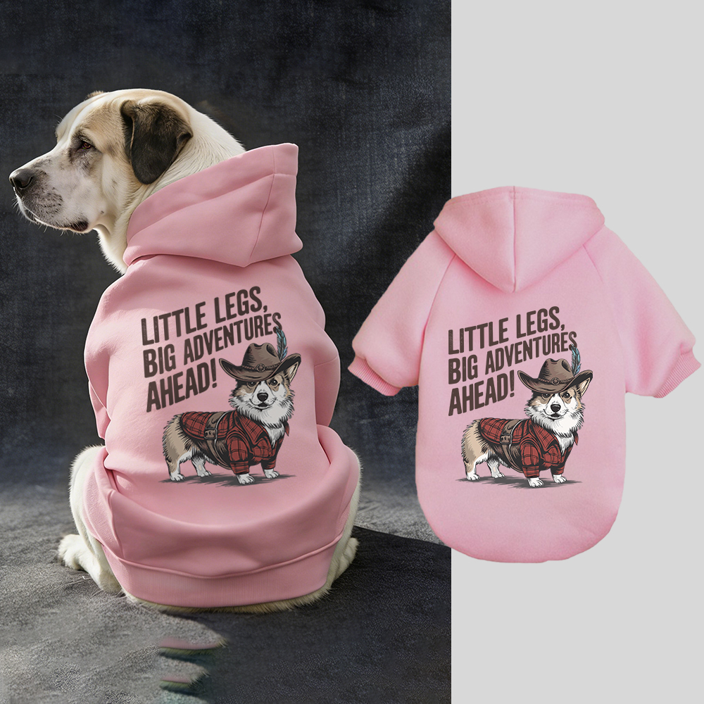 LITTLE LEGS BIG ADVENTURES AHEAD Puppy Hoodie | BKPet341