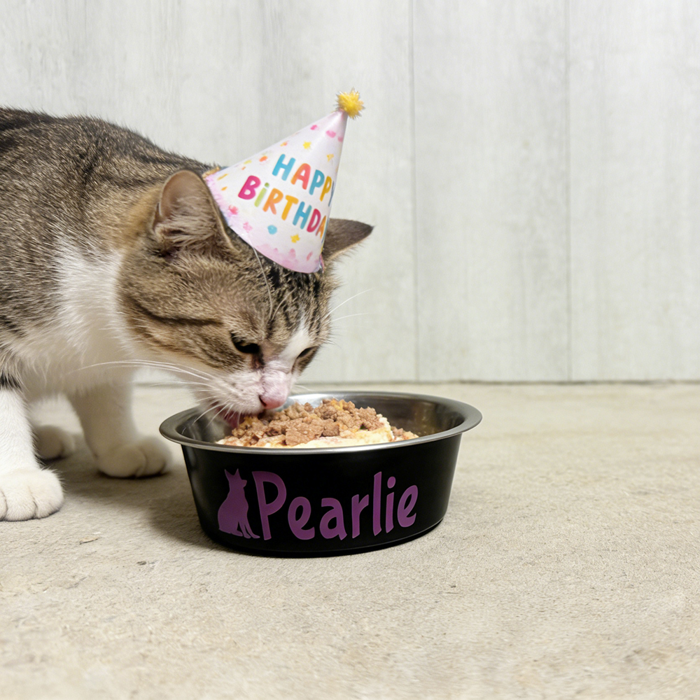 Personalized Pet Stainless Steel Anti-slip Food Bowl | BKPet36801