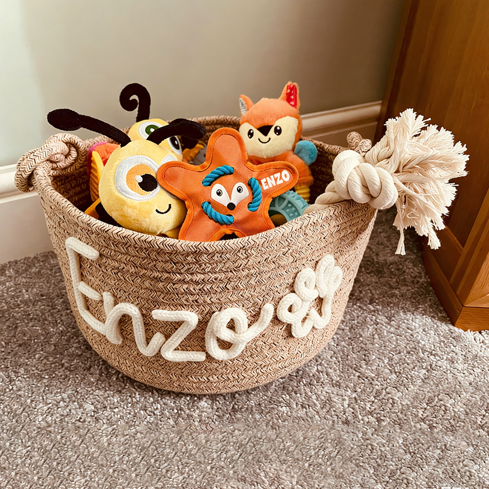 Personalized Star Flying Disc Squeaky Dog Toy | BKPet386