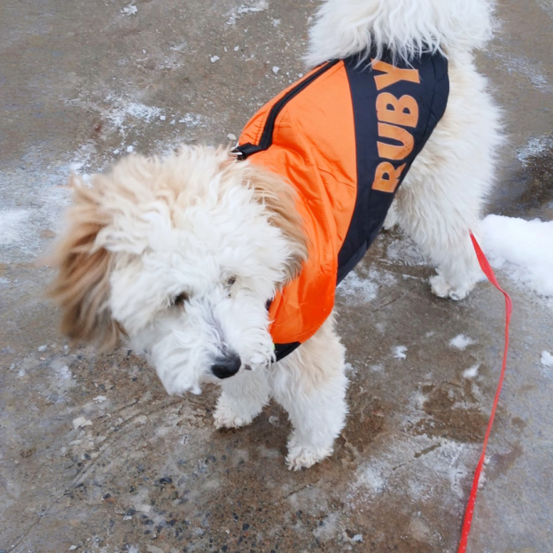 Personalized Pet Large Size Winter Warm Windproof Puffer Jacket | BKPet246