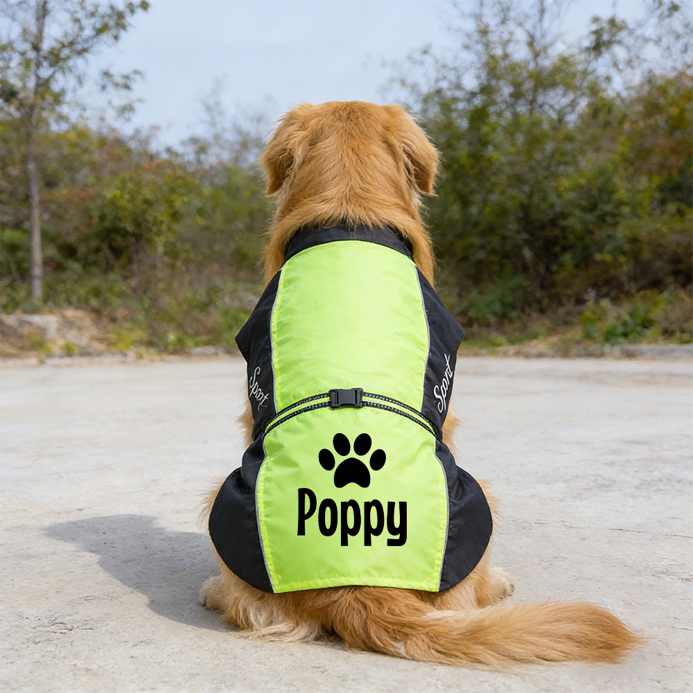 Personalized Pet Large Size Waterproof Raincoat Jacket | BKPet414