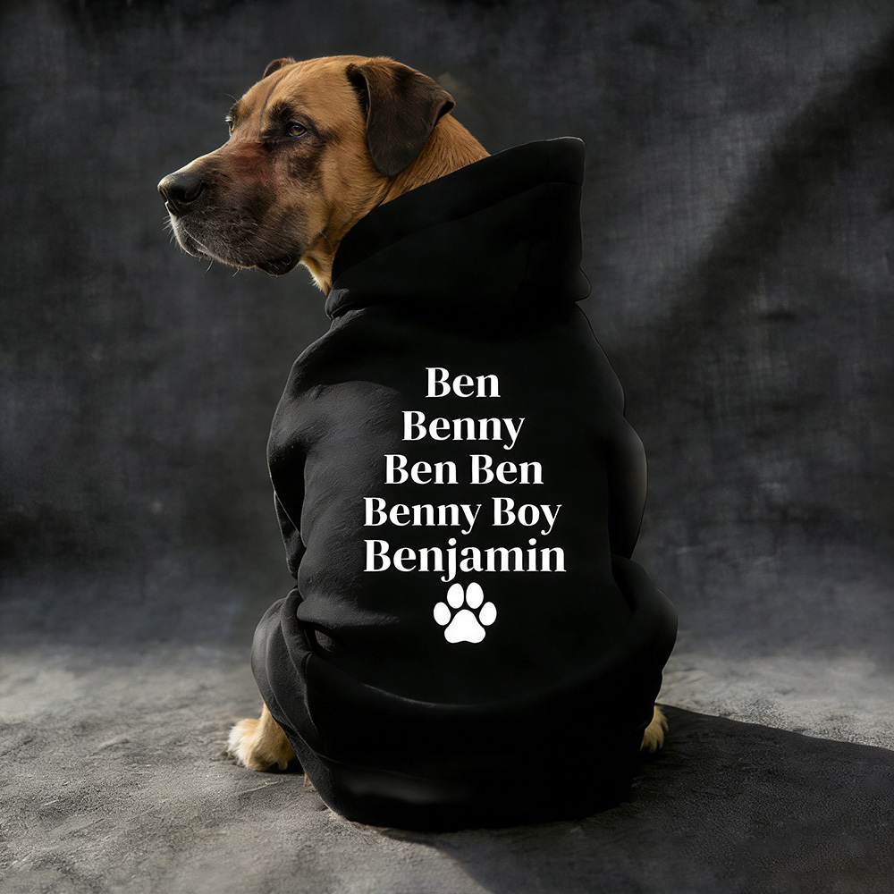 Personalized Pet Cozy Nickname Hoodie | BKPet418