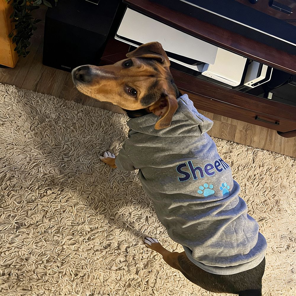 Personalized Embroidered Pet Comfortable Soft Hoodie | BKPet419