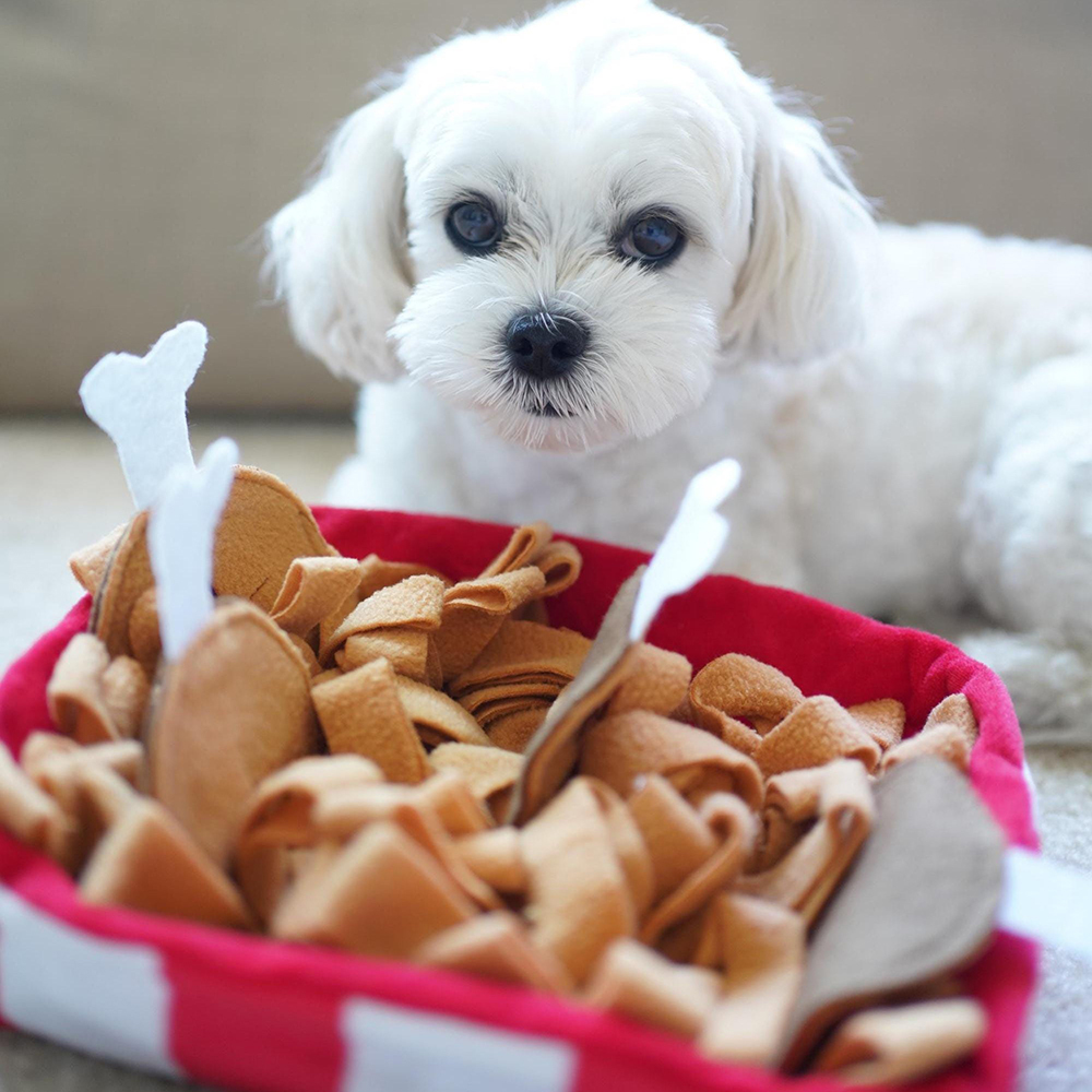 Creative Slow Feeder Chicken Pet Training Toy | BKPet431