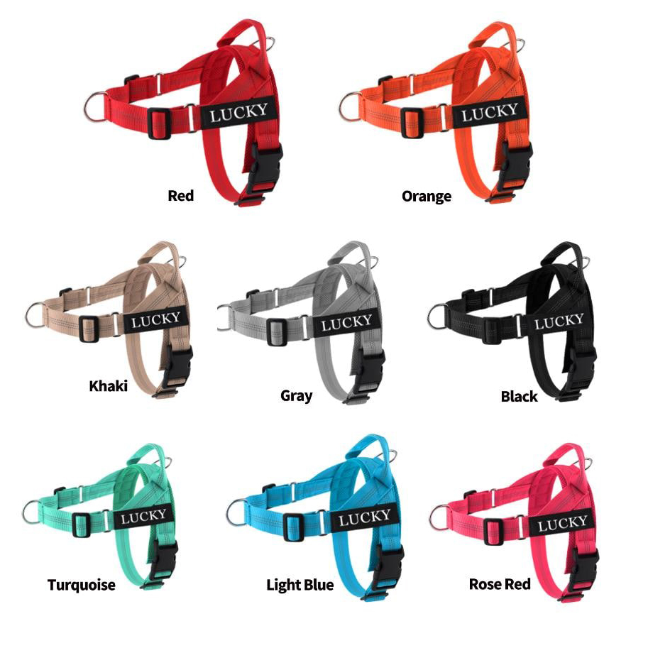 Personalized Embroidered Dog Harness & Leash Set | BKPet462