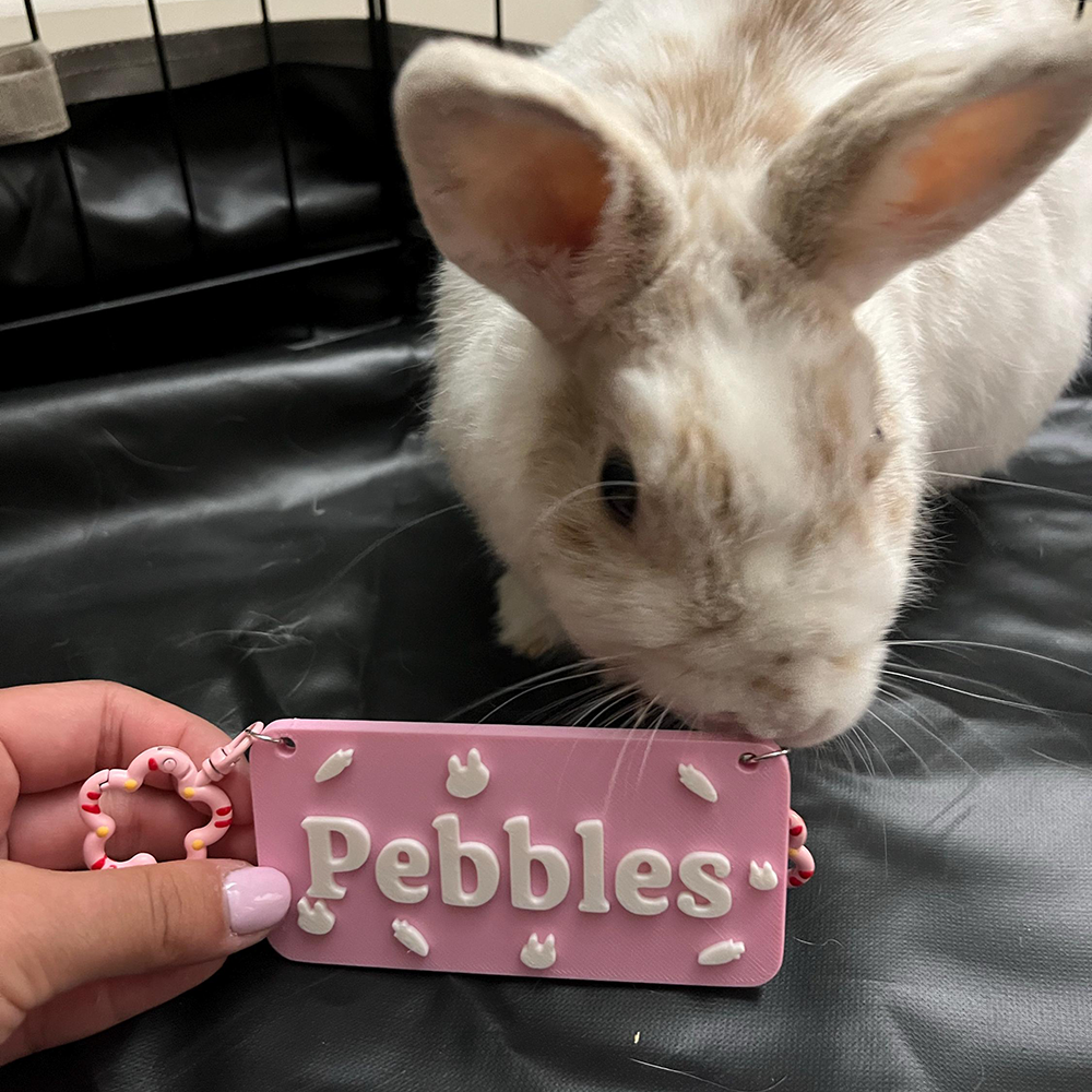 Personalized 3D Printed Pet Cage Name Tag | BKPet510