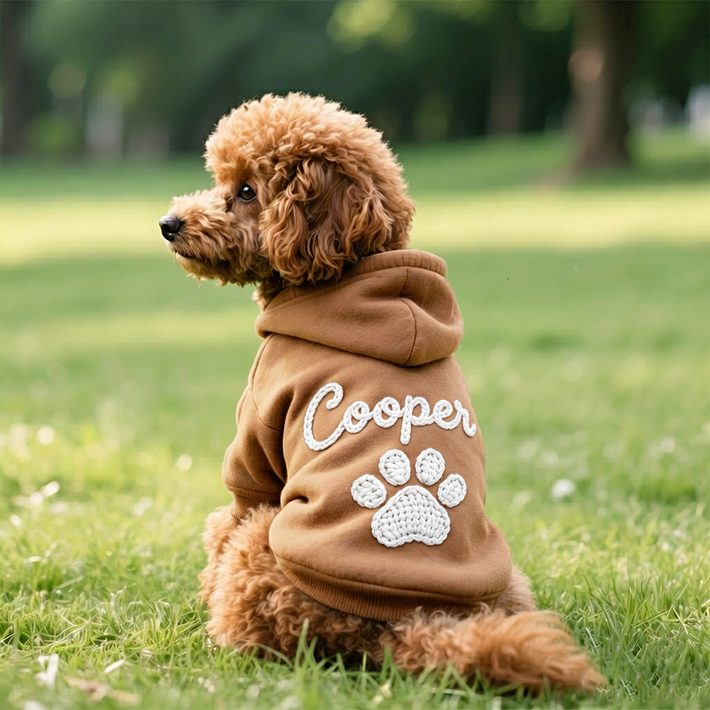 Personalized Hand Embroidery Lovely Paw Large Size Puppy Hoodie | BKPet512