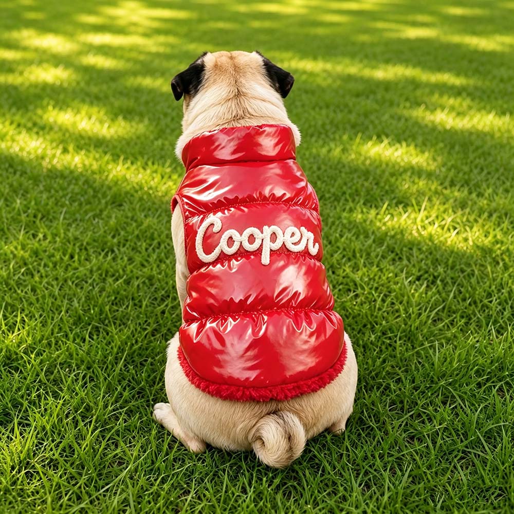 Personalized Pets Winter Warm Windproof Jacket | BKPet572