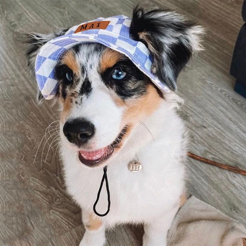 Personalized Leather Patch Pet Sun Hat with Ear Holes | BKPet67