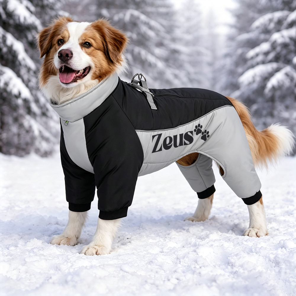 Personalized Winter Color-Blocked Cotton Coats For Pets | BKPet599
