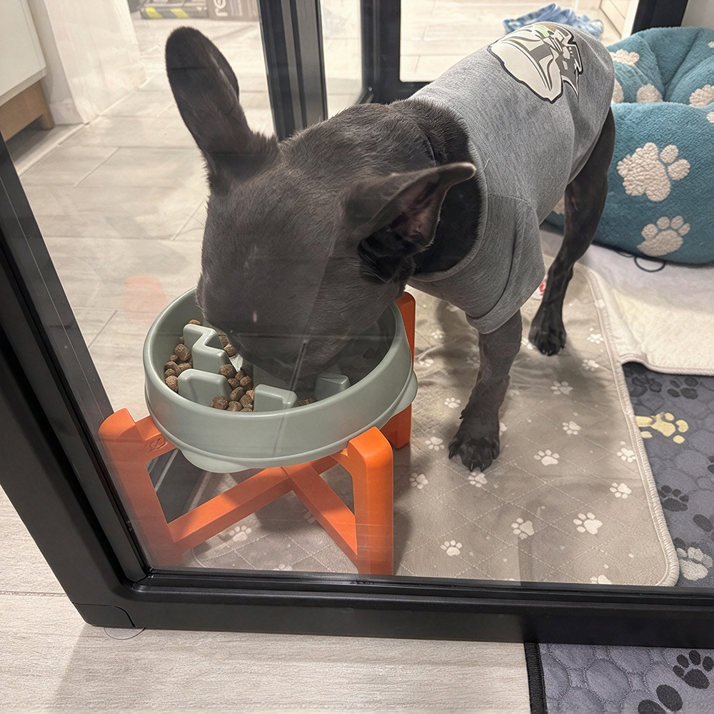 Personalized 3D Printed Pet Elevated Bowl Stand | BKPet653