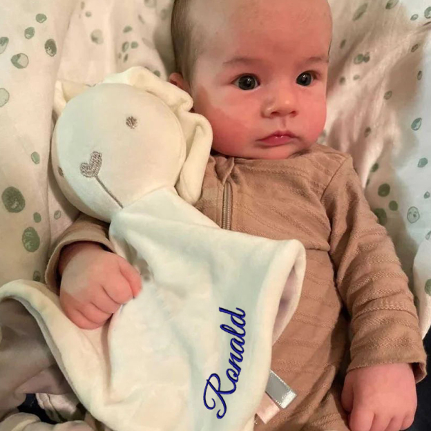 Personalized Baby Embroidery Comforter Sleep Toy | CWToy62